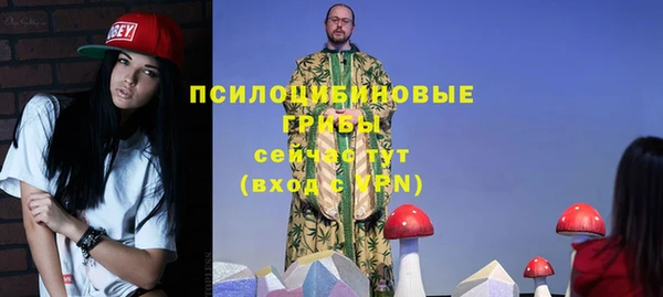 каннабис Новозыбков