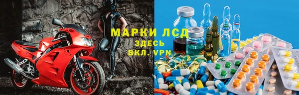 каннабис Новозыбков