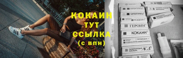 PSILOCYBIN Новодвинск