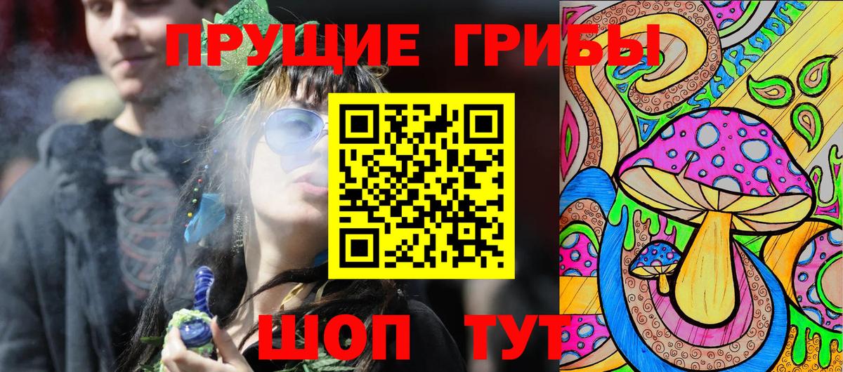 Галлюциногенные грибы Cubensis  продажа наркотиков  Кинель 