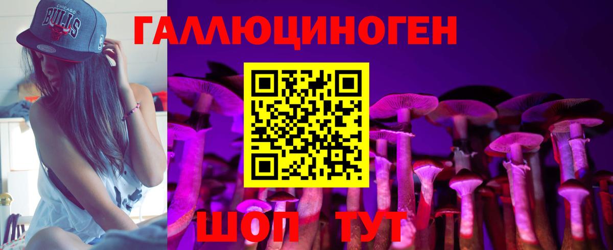 Псилоцибиновые грибы прущие грибы  купить   Кинель  Вход с VPN 